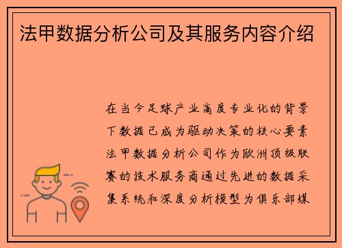 法甲数据分析公司及其服务内容介绍