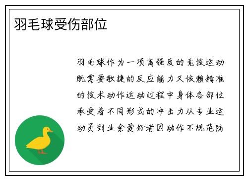 羽毛球受伤部位