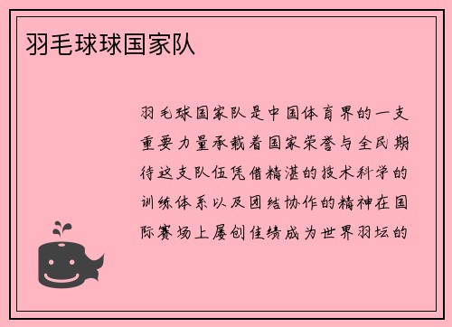 羽毛球球国家队