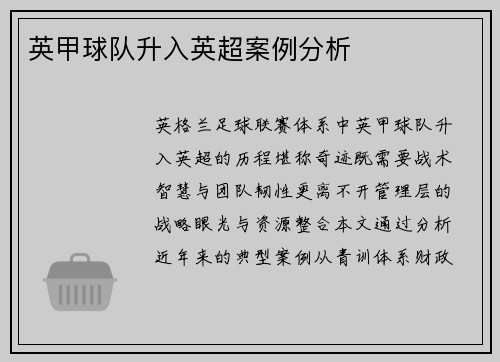 英甲球队升入英超案例分析